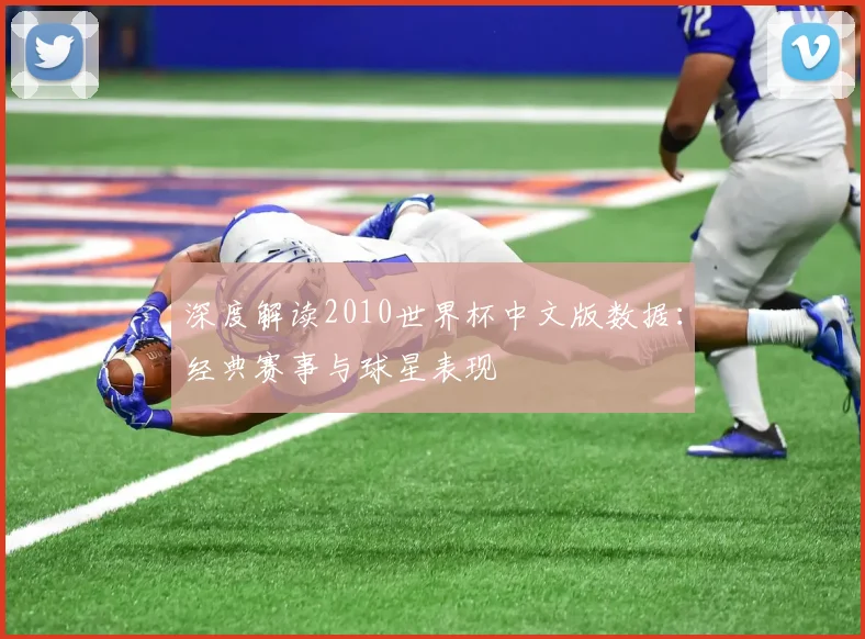 深度解读2010世界杯中文版数据：经典赛事与球星表现
